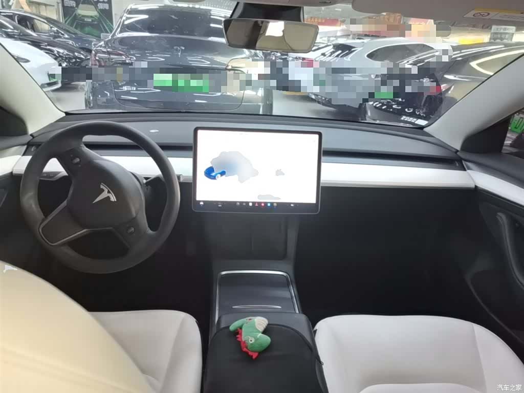 Tesla Model 3, 2021 10