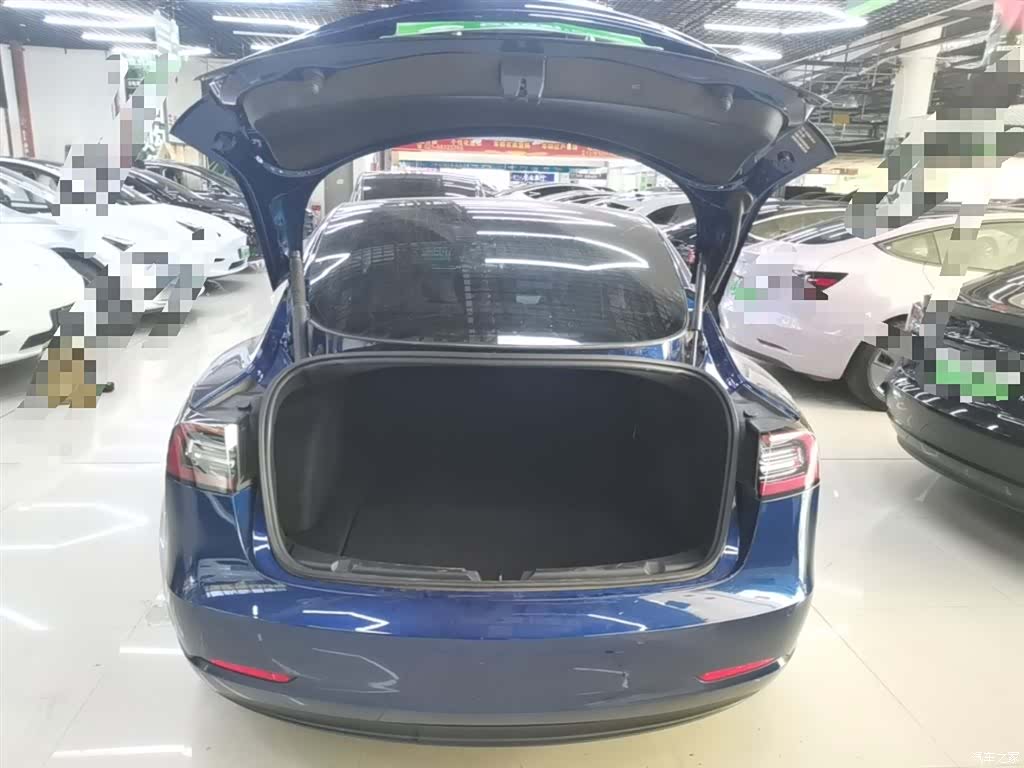 Tesla Model 3, 2021 19