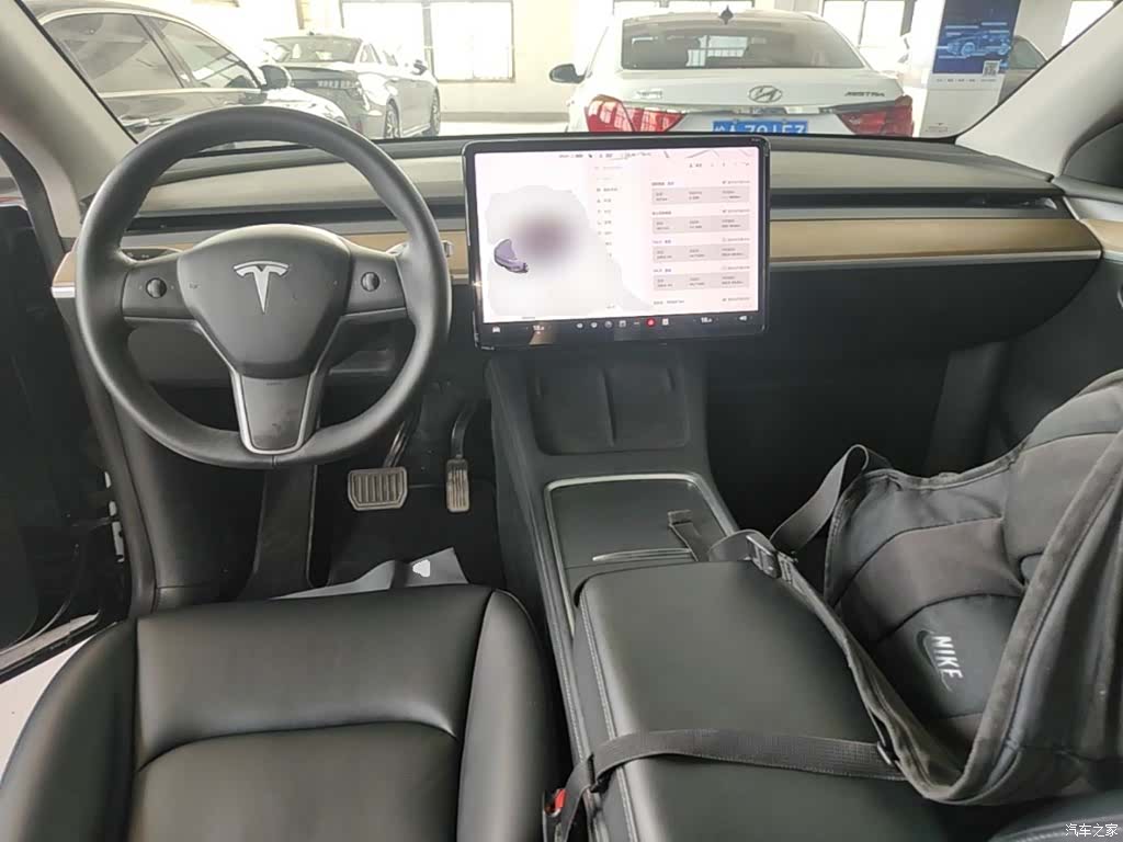 Tesla Model Y, 2021 10