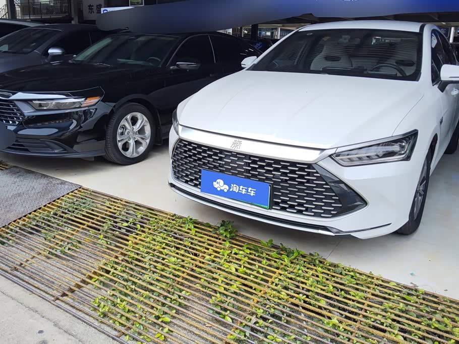 BYD Qin Plus