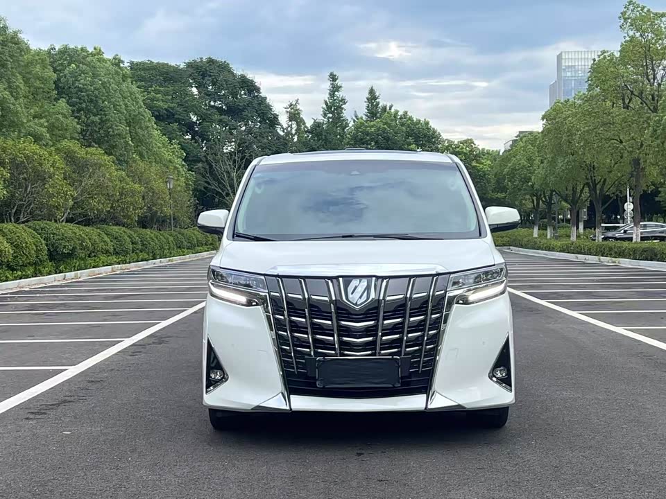 Toyota Elfa