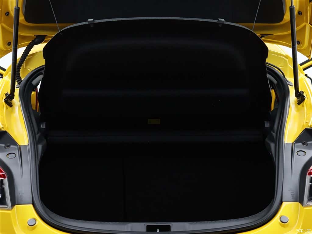 LeiNuo(JinKou) Megane, 2018 8