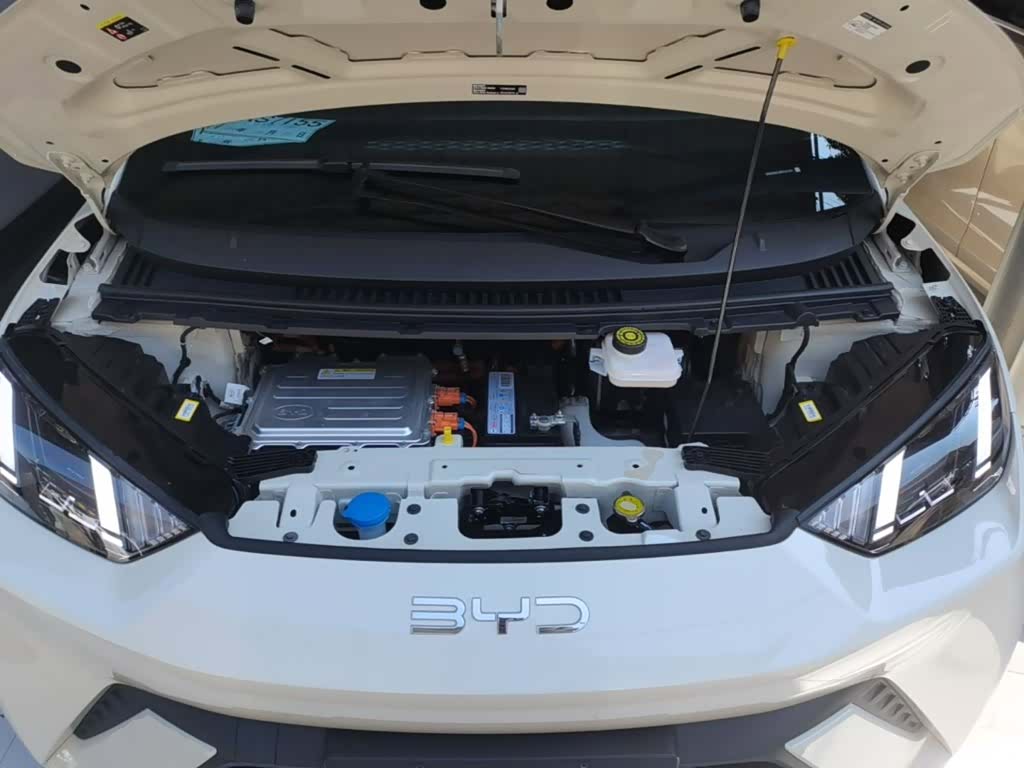 BYD Seagull, 2024 20