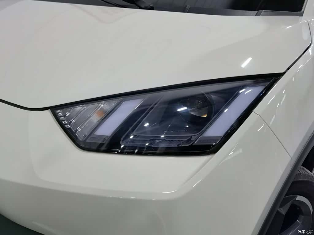 BYD Seagull, 2024 7