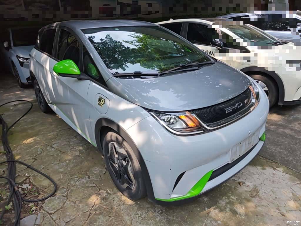BYD Dolphin, 2022 4