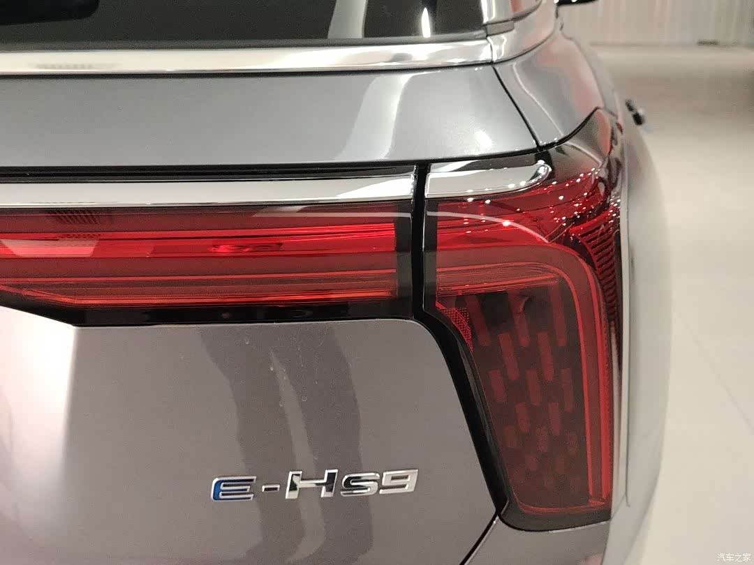 Hongqi E-HS9, 2023 6