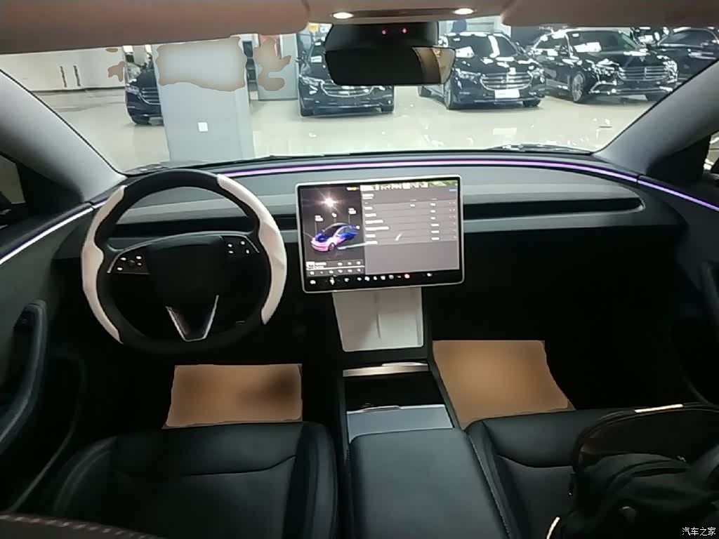 Tesla Model 3, 2024 10