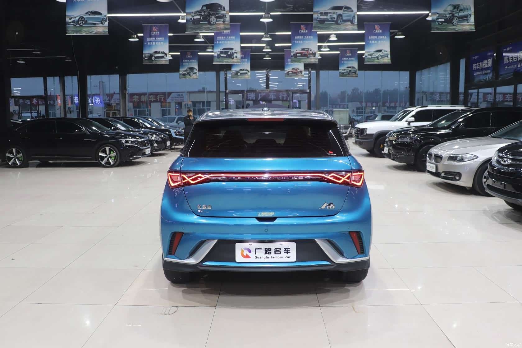 BYD Dolphin, 2023 7