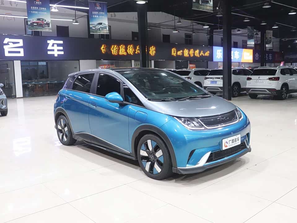 BYD dolphin