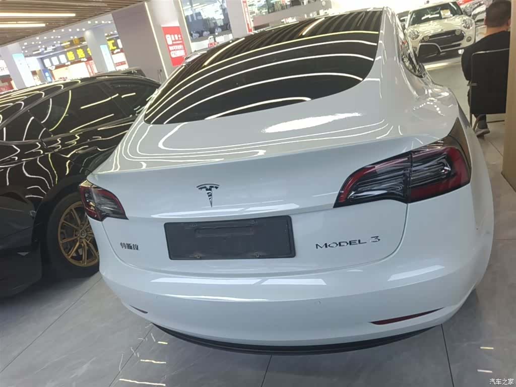 Tesla Model 3, 2021 6