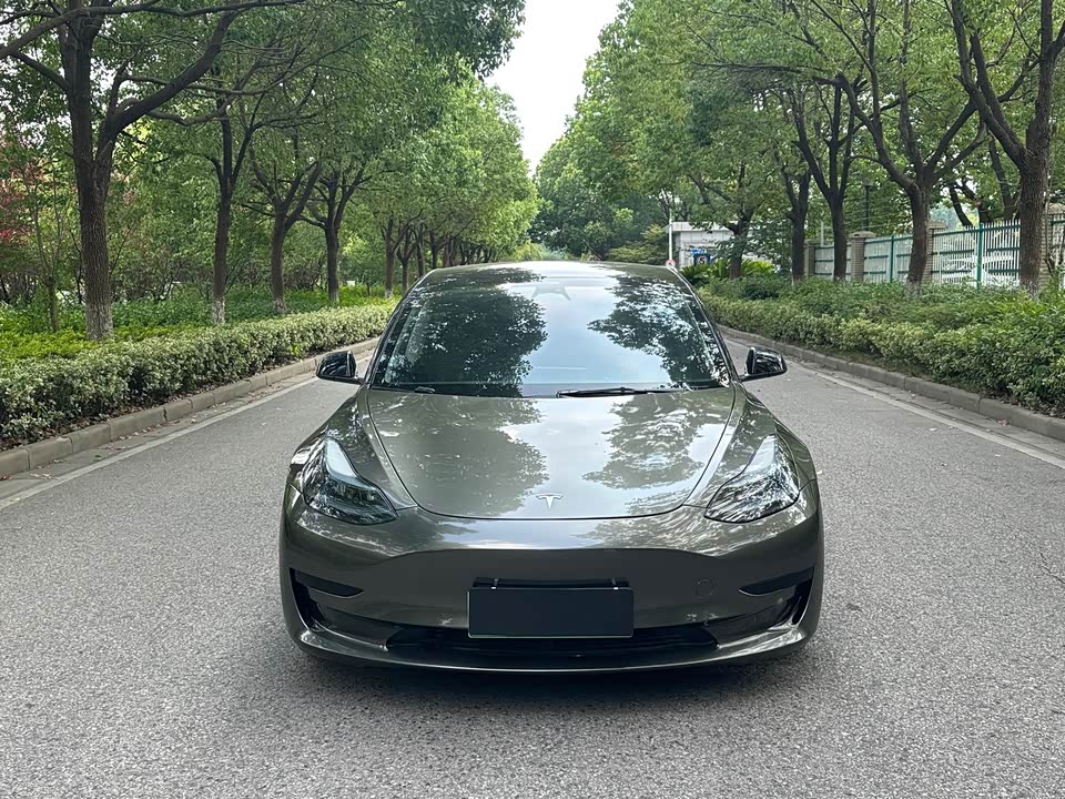 Tesla Model 3 Tesla Model 3