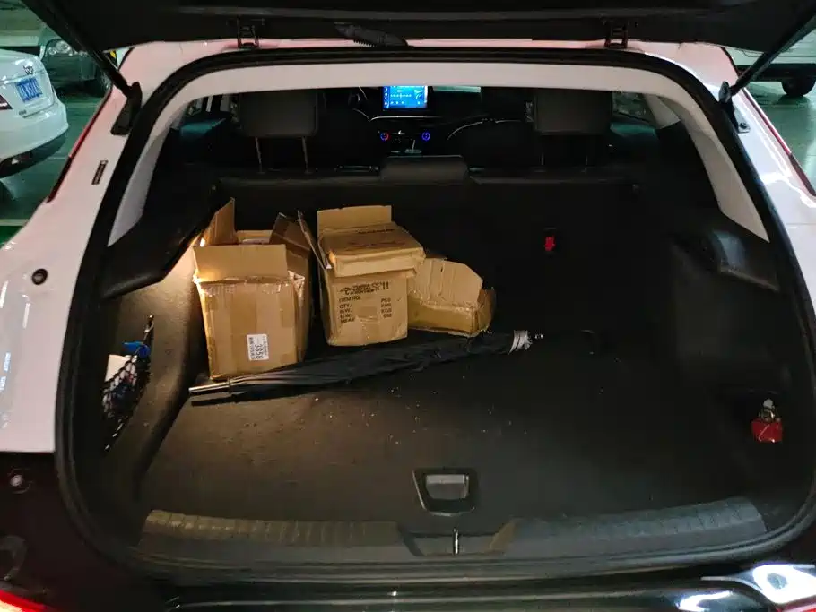 Buick Slightly blue 6