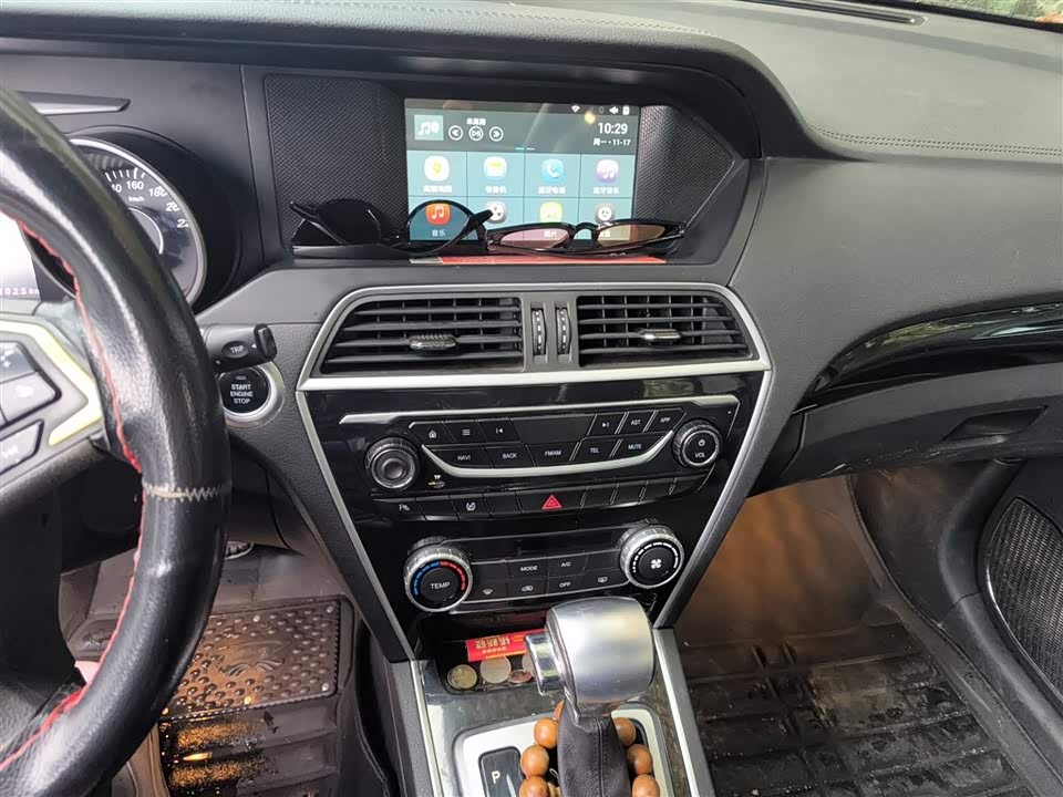 Leopaard Cheetah CS10