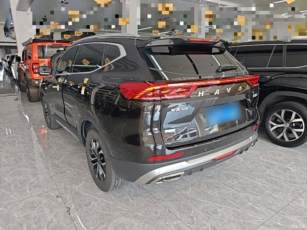 Haval H6, 2024 все фото