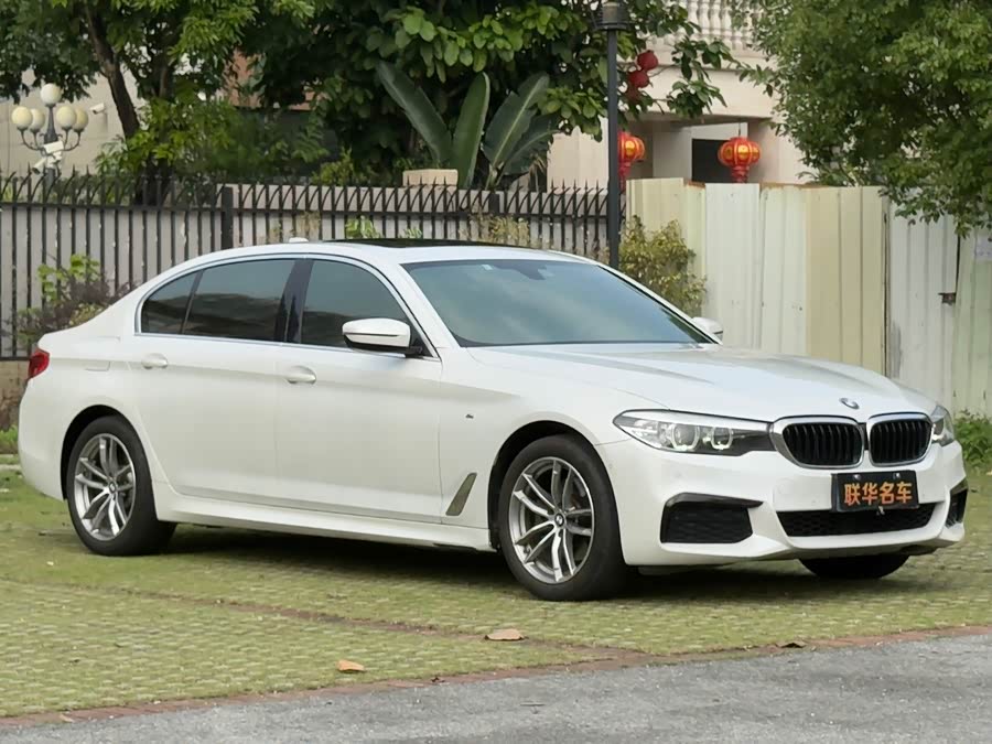 BMW 5 Series 2020, фото 4
