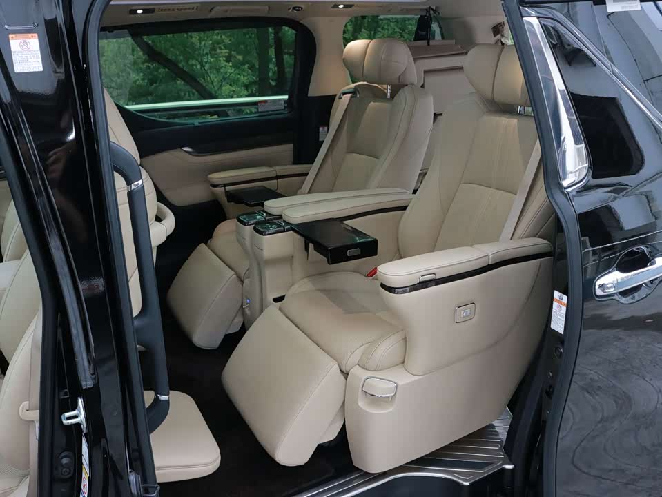 Toyota Elfa