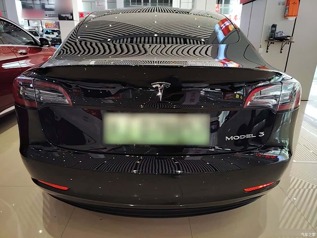 Tesla Model 3, 2021 6
