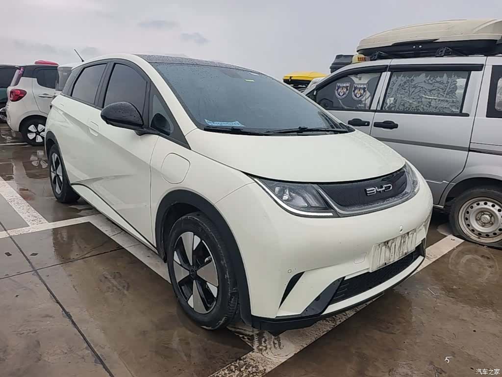 BYD Dolphin, 2023 4