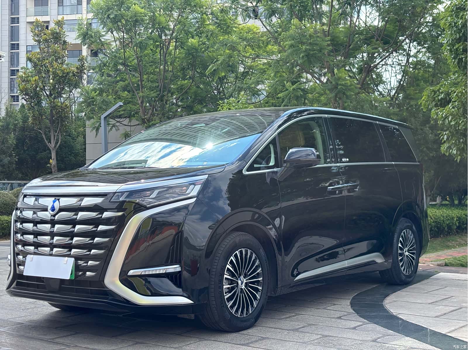 Denza D9