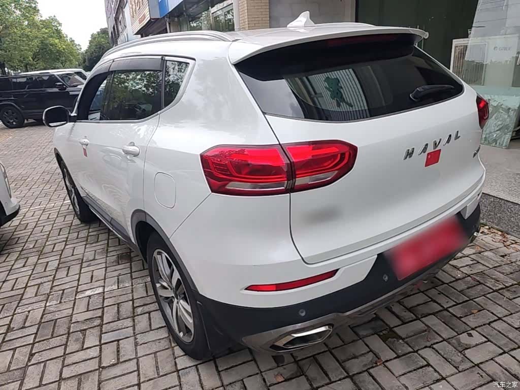 Haval H6, 2019 все фото