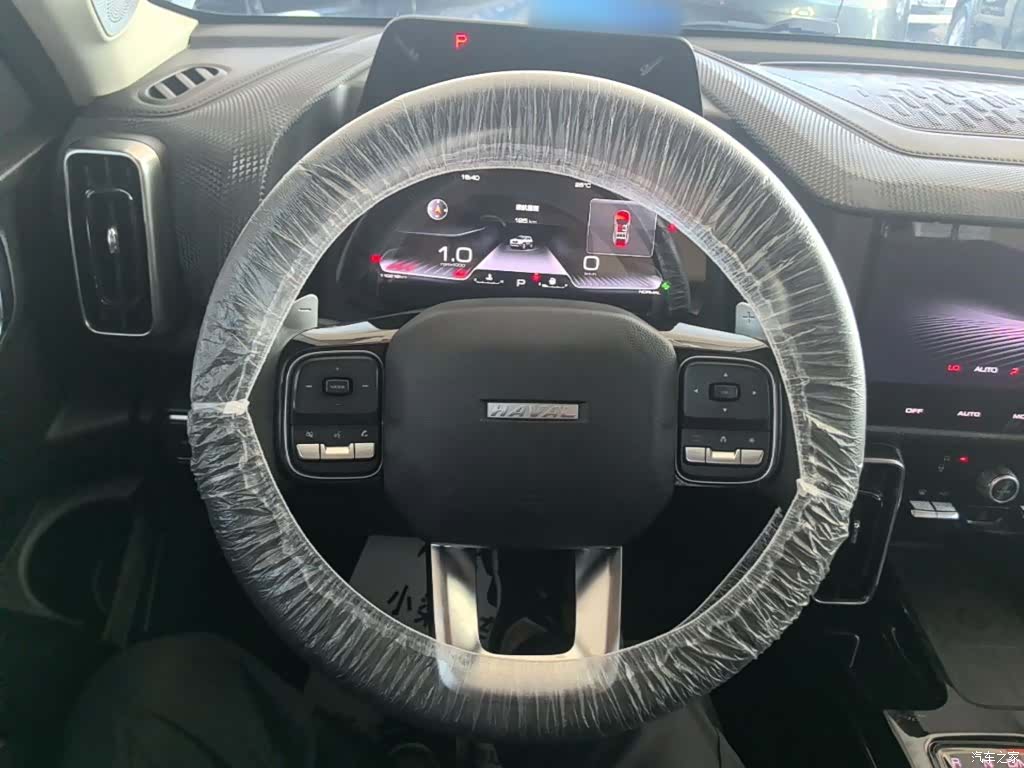 Haval Big Dog, 2021 11