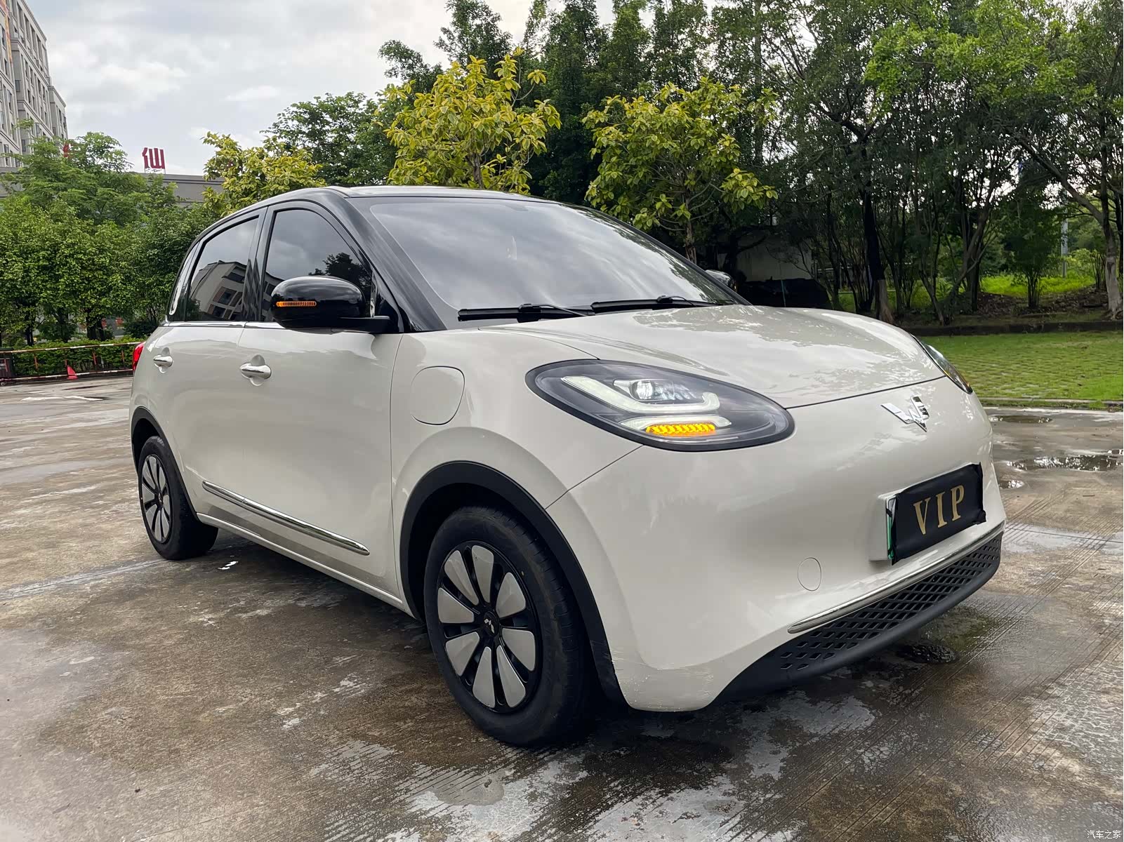 Wuling Bingo, 2024 3