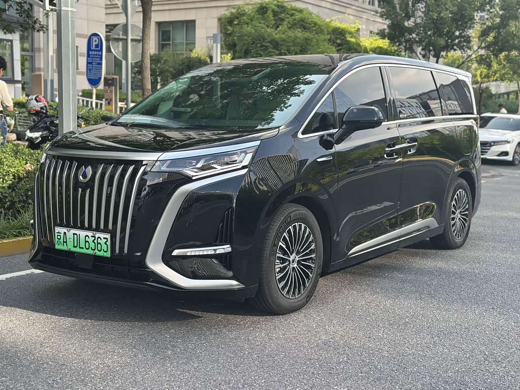 Denza D9