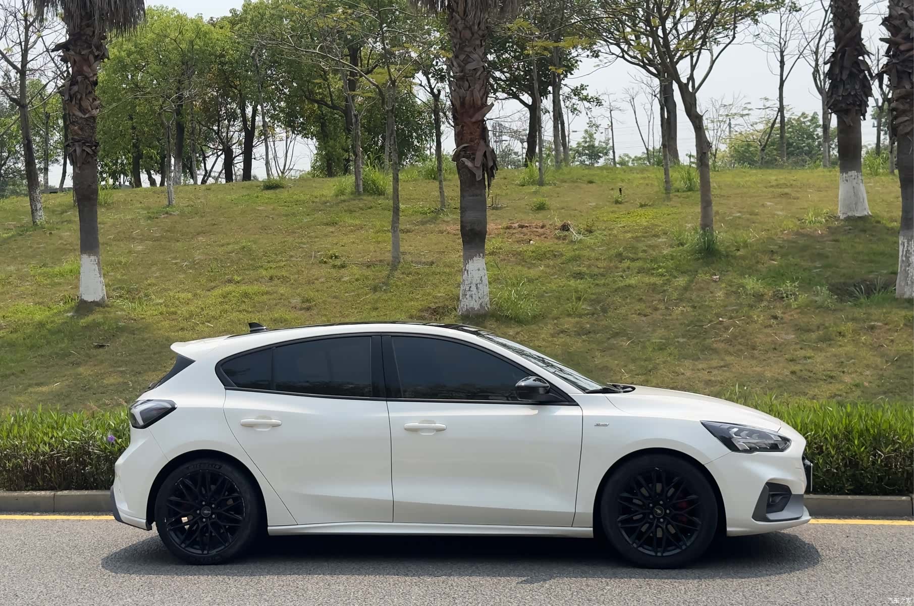 Ford Focus, 2022 все фото