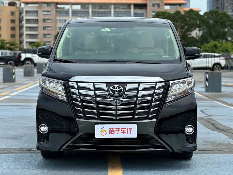 Toyota Elfa