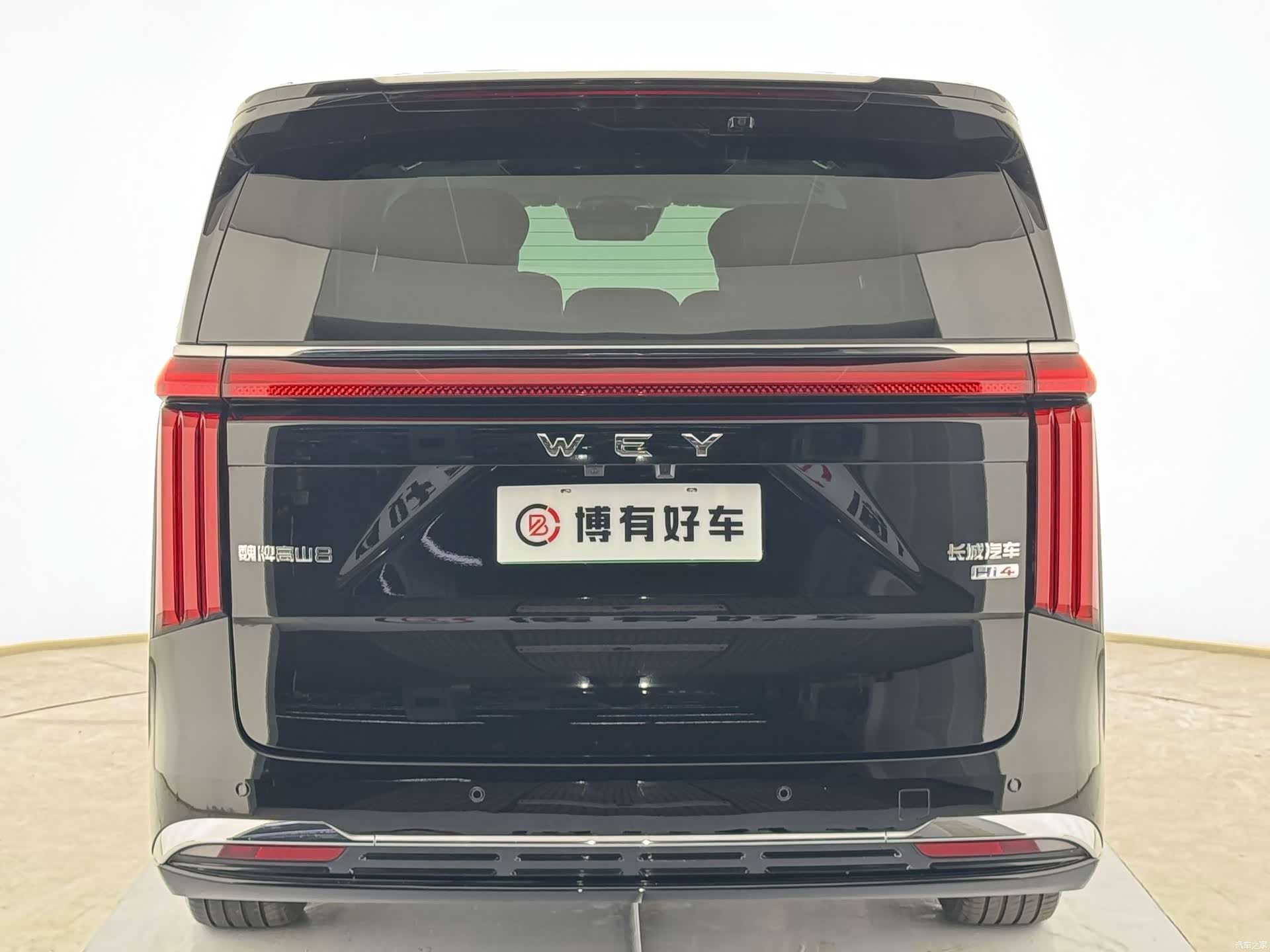 WEY Gaoshan, 2025 8