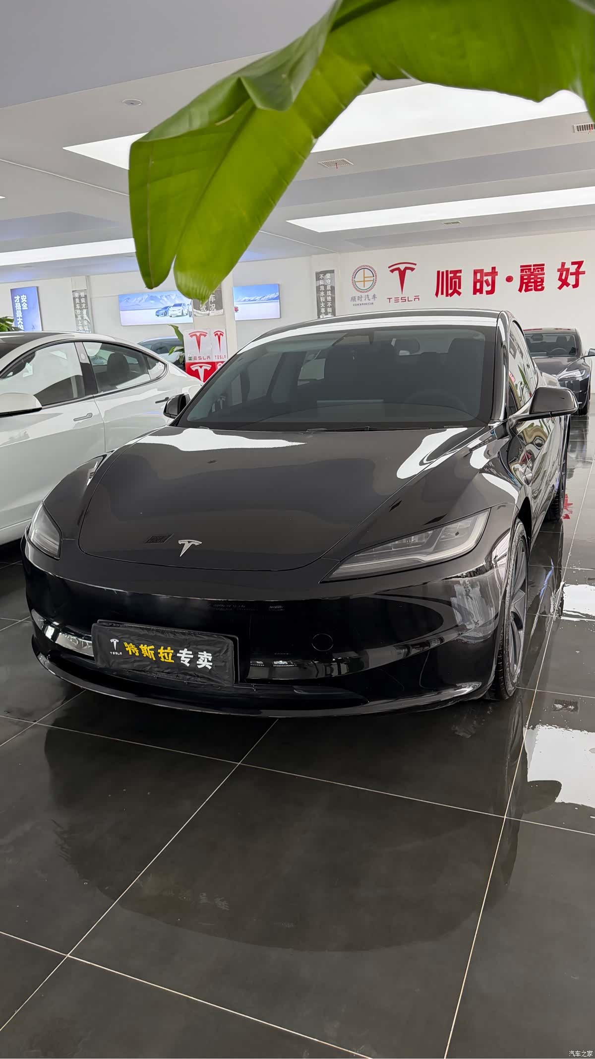 Tesla Model 3, 2026 1