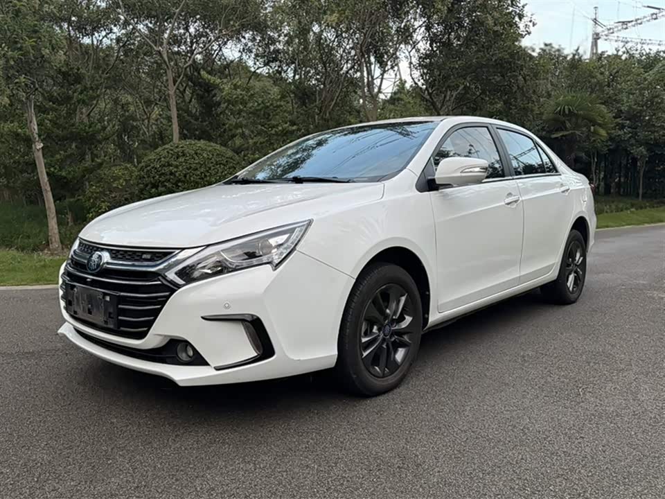 BYD Qinxin Energy