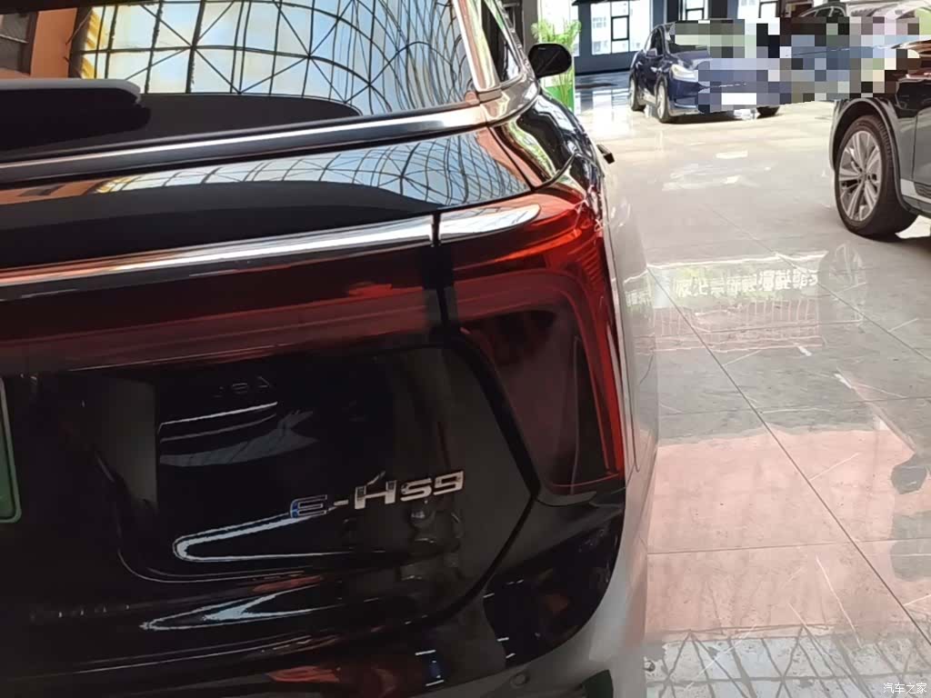 Hongqi E-HS9, 2023 8