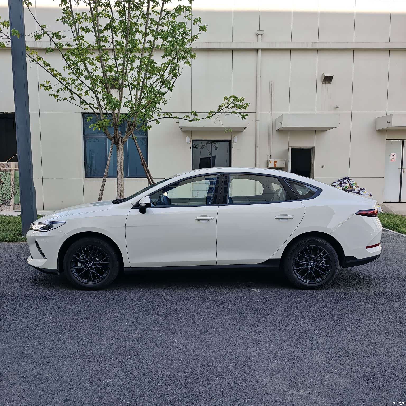 BYD Qin, 2025 6