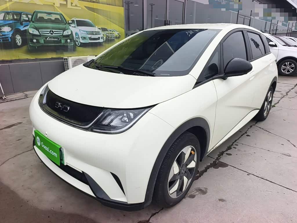 BYD Dolphin
