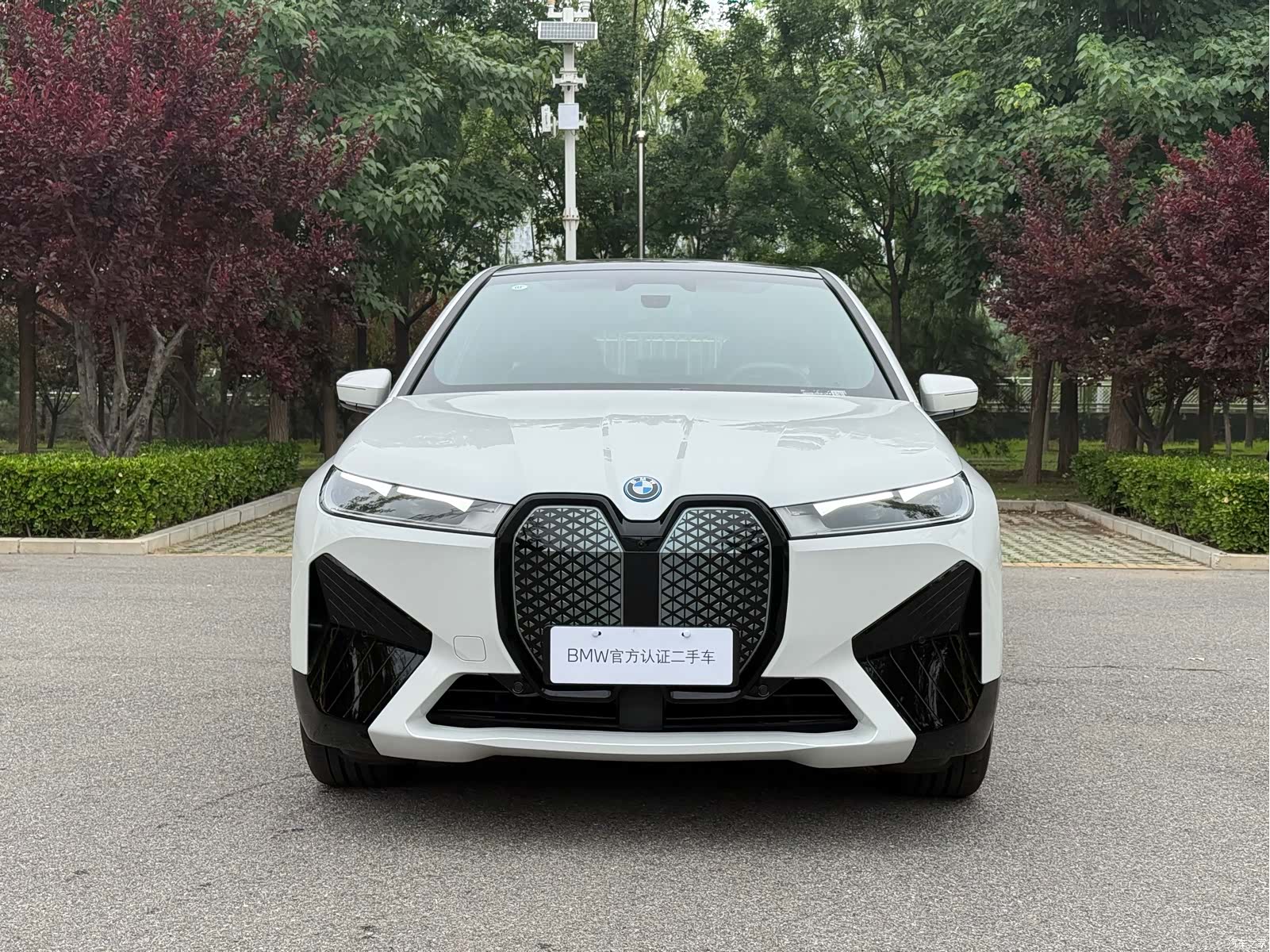 BMW iX, 2025 все фото