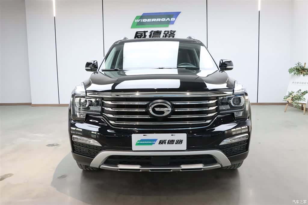 Trumpchi GS8, 2019 2