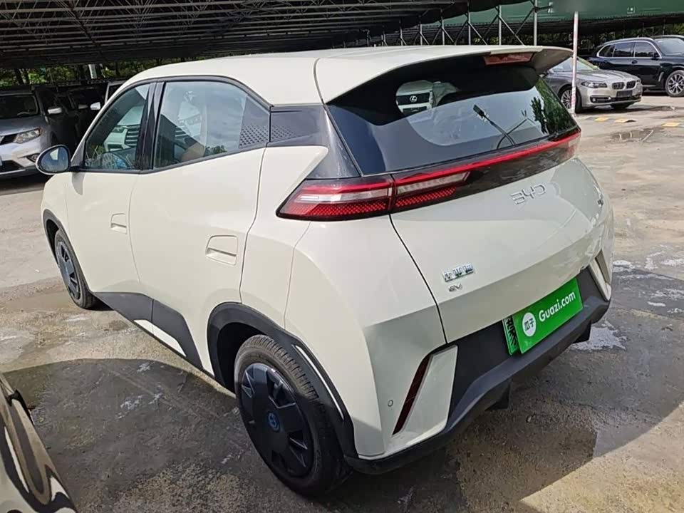 BYD Seagull