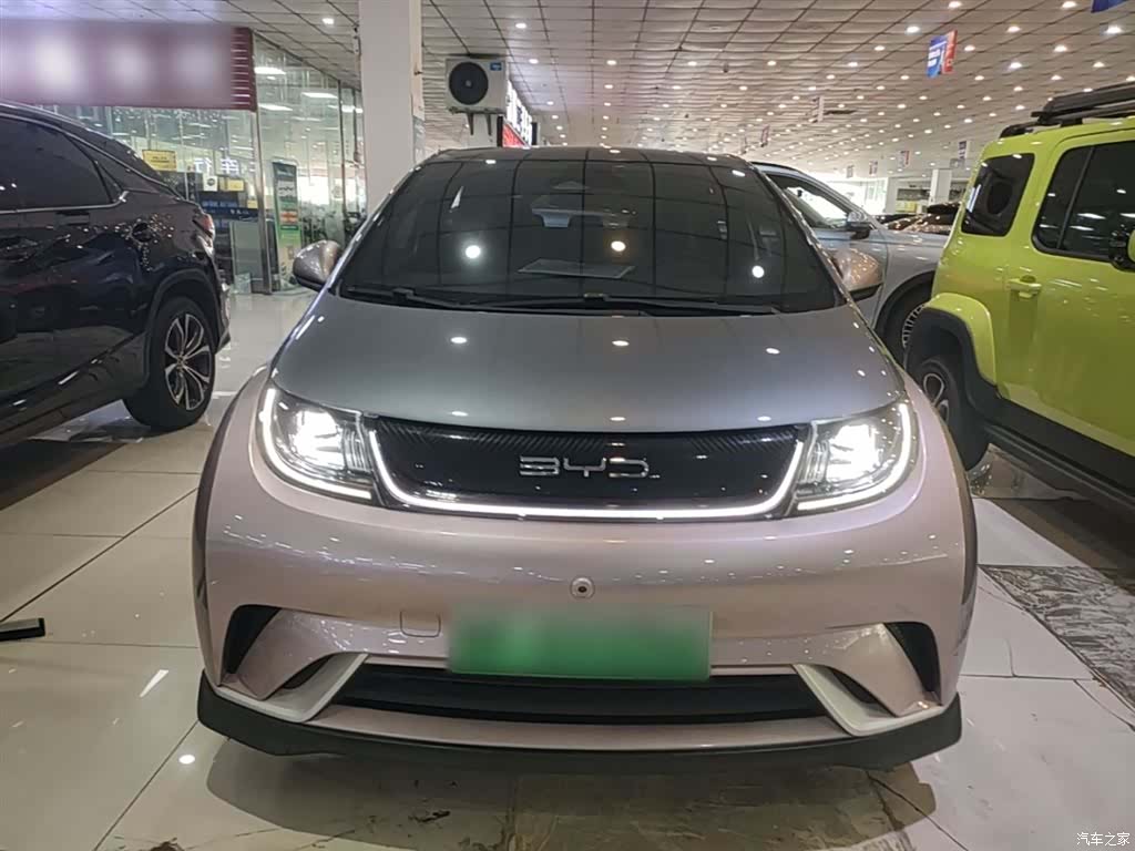BYD Dolphin, 2022 3