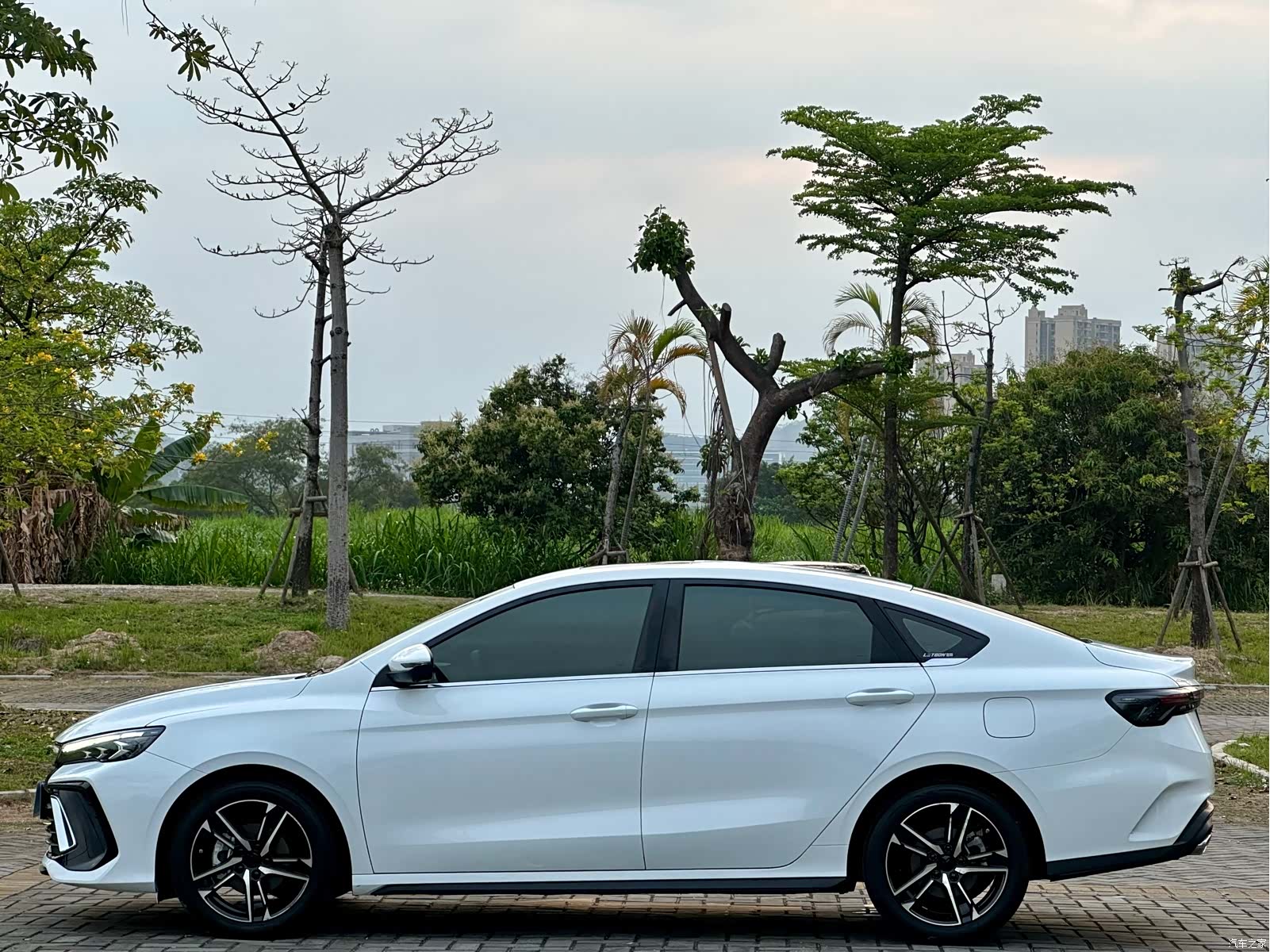 Geely Binray, 2023 7