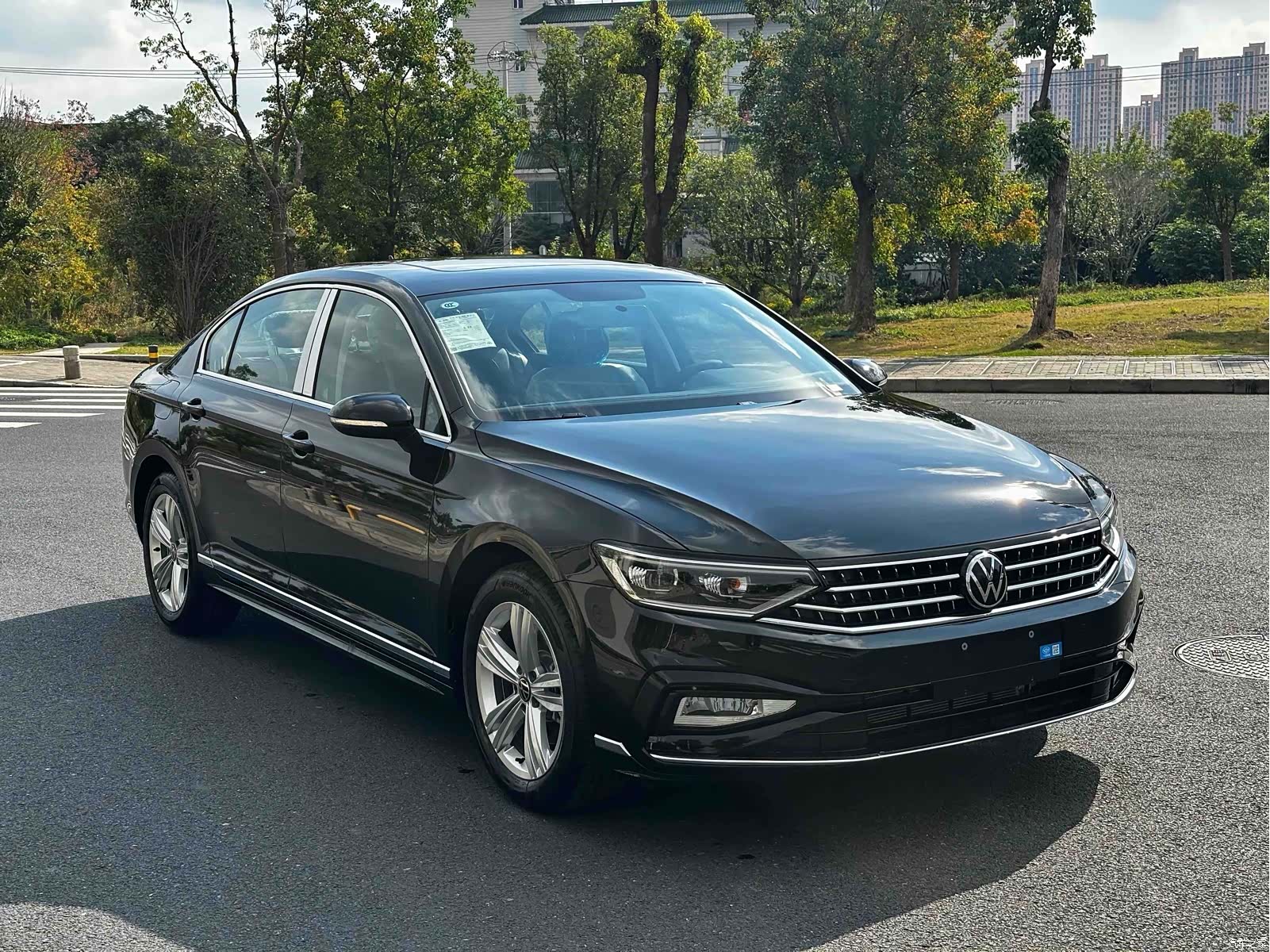 Volkswagen Magotan, 2026 3