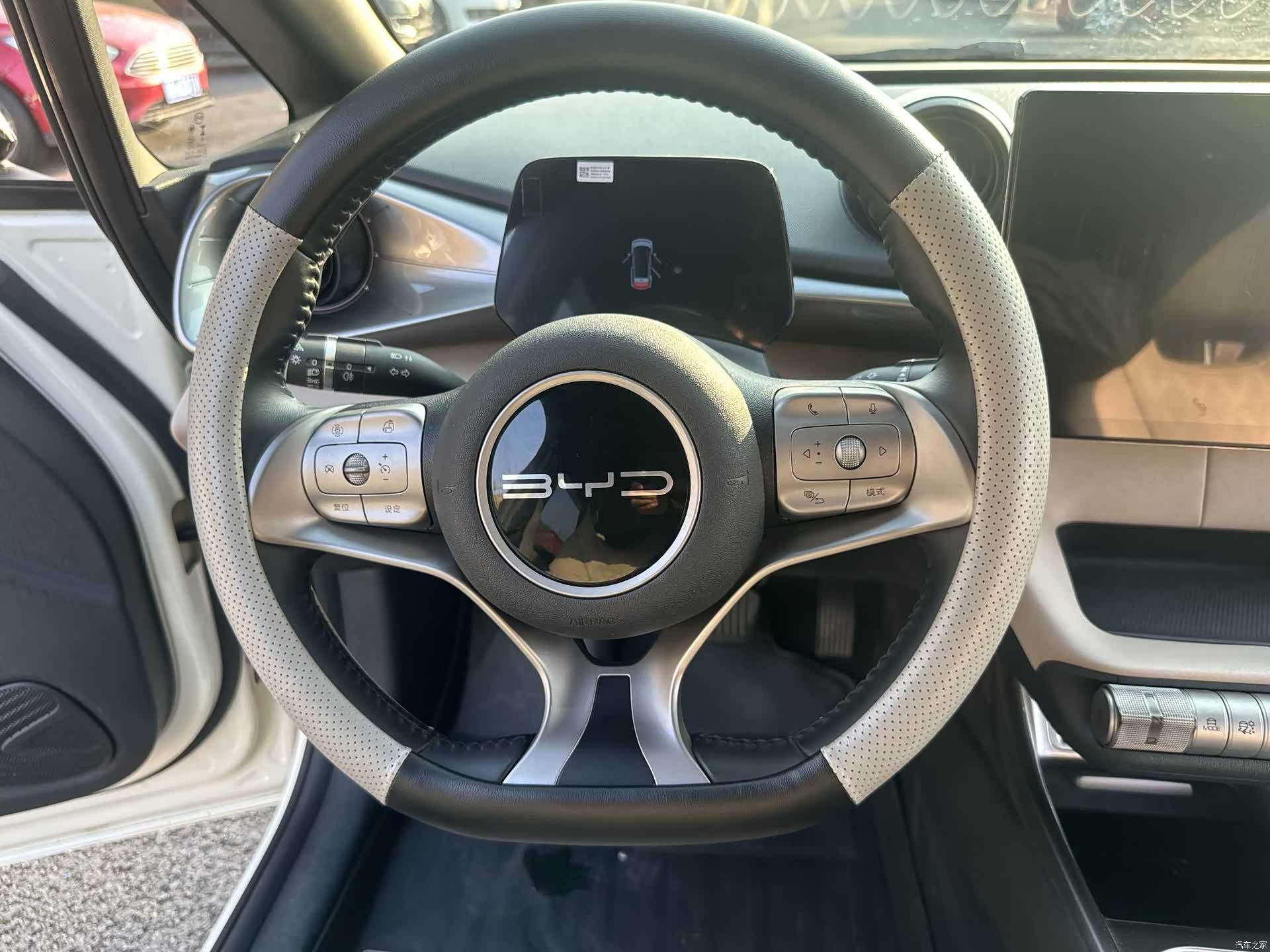 BYD Dolphin, 2023 11