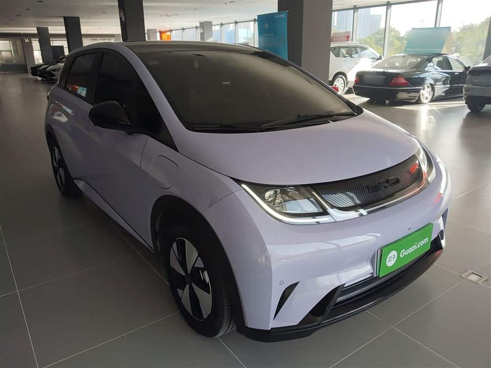 BYD dolphin