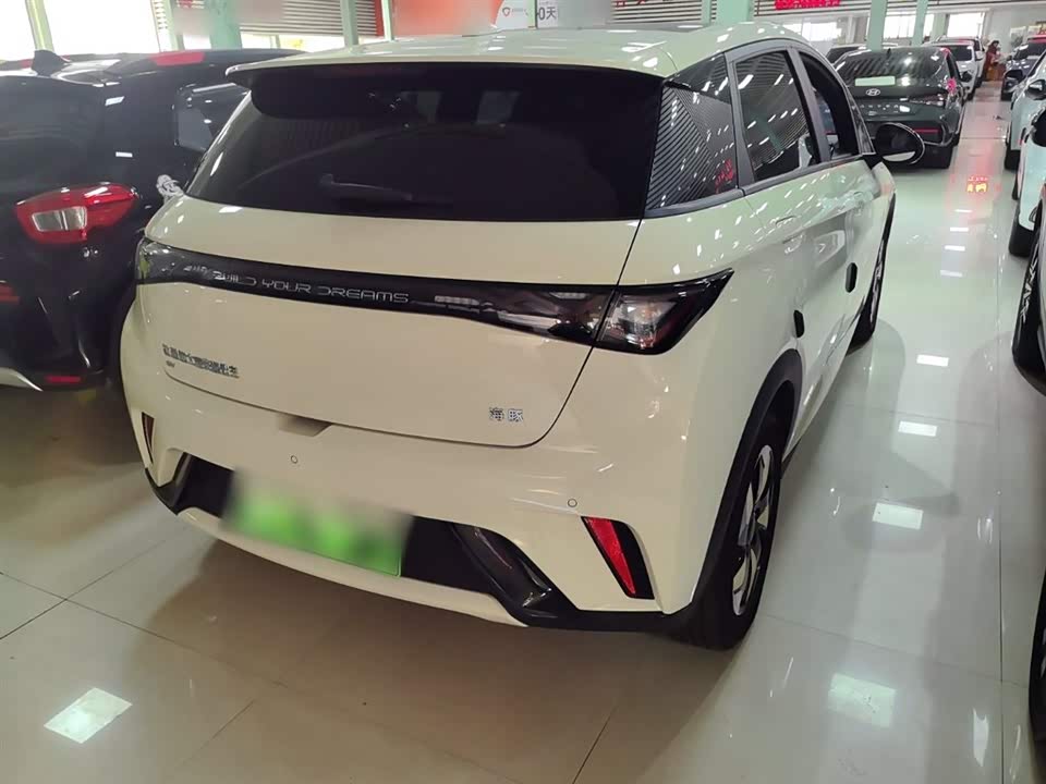 BYD dolphin