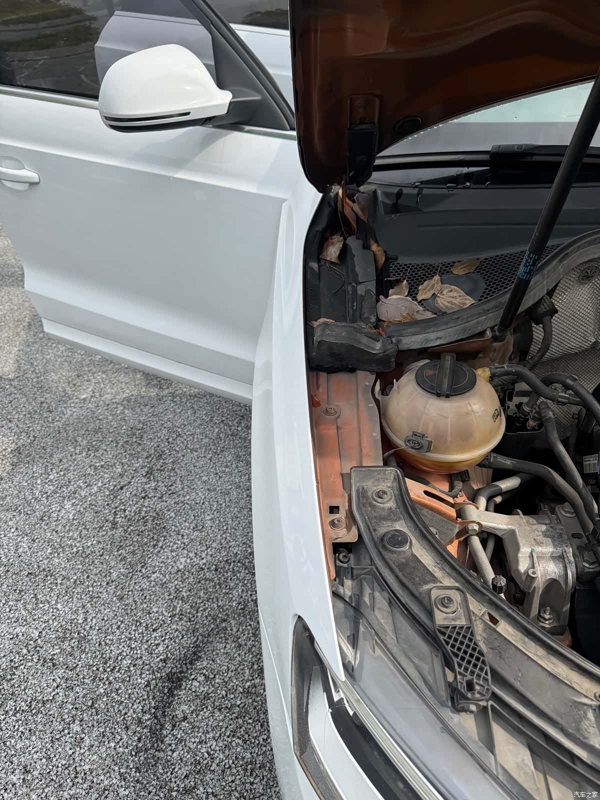 Audi Q3, 2013 22