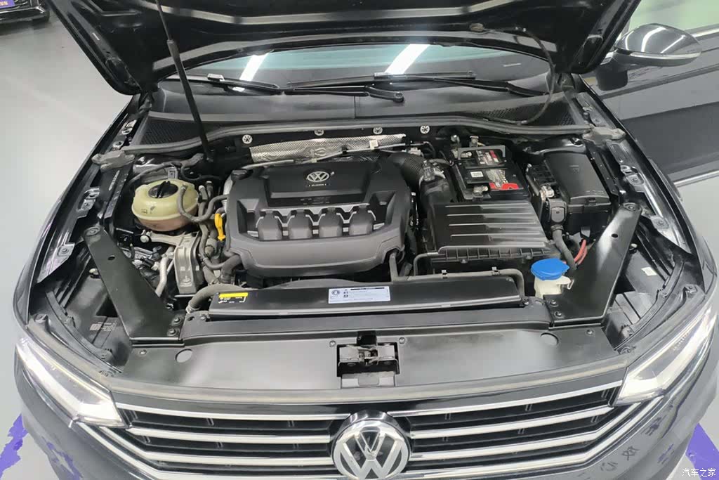 Volkswagen Magotan, 2020 10
