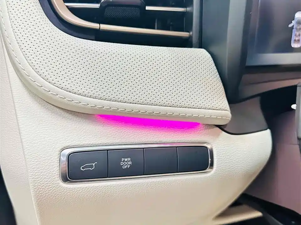 Hongqi HQ9