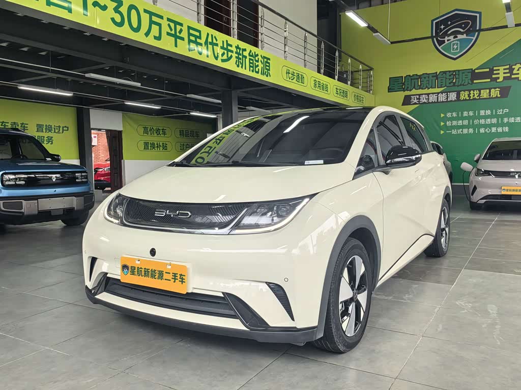 BYD Dolphin 2023 420km Fashion