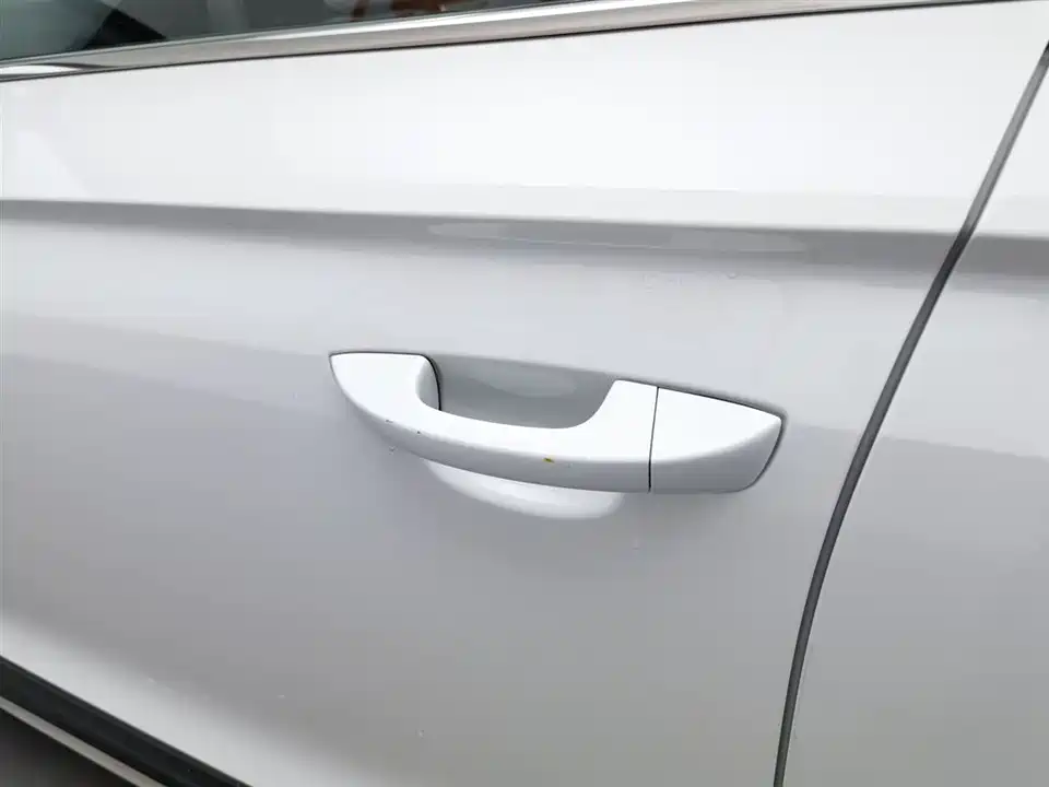 Volkswagen C-TREK Wei Collar