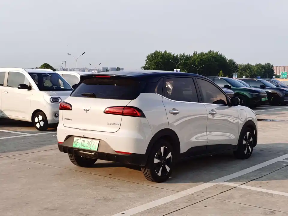 Wuling Wuling Bingguo PLUS